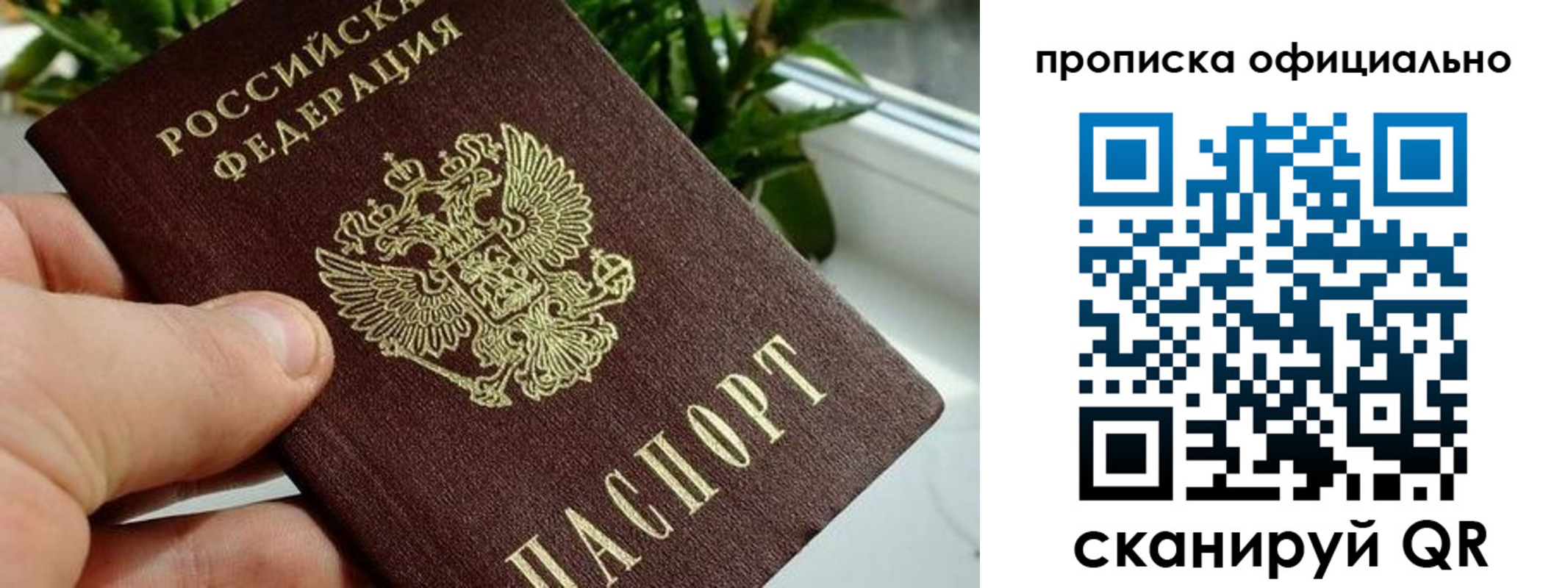 прописка поиск в Беслане